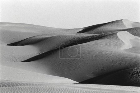 Foto de Thar desert Sand Dunes, Jaisalmer, Rajastán, India - Imagen libre de derechos