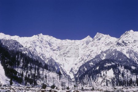Glacier, Snow capped Mountain, Solang valley, Manali, Himachal Pradesh, India