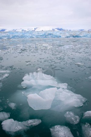 Foto de Iceberg cerca del glaciar Hubbard; El glaciar de marea más largo de Alaska; Parque Nacional Saint Elias; Bahía de desencanto; Alaska; Estados Unidos de América - Imagen libre de derechos