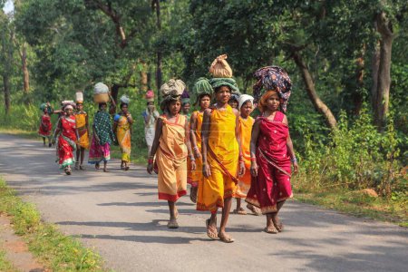 Téléchargez les photos : Femme portant bagages, bastar, chhattisgarh, Inde, asie - en image libre de droit