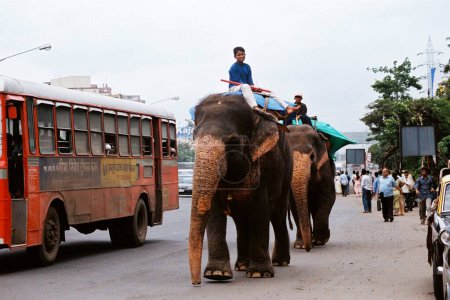 Téléchargez les photos : Two elephants with its mahout walk beside a red BEST bus on a busy traffic road begging for alms in Bombay now Mumbai, Maharashtra, India - en image libre de droit