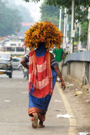 Téléchargez les photos : Femme portant un gros paquet de tiges d'or à feuilles d'herbe sur la tête, Festival Ganesh Ganapati au Dadar, Bombay Mumbai, Maharashtra, Inde - en image libre de droit