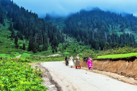 Téléchargez les photos : Femmes du Cachemire marchant sur la route, Doodhpathri, Budgam, Cachemire, Inde, Asie - en image libre de droit