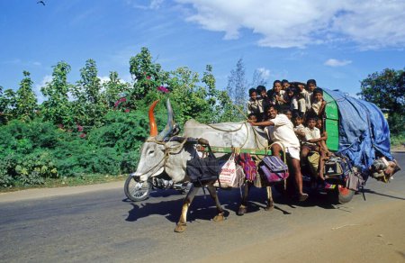 Téléchargez les photos : Chariot à taureaux emmenant des enfants à l'école - en image libre de droit