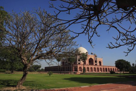 Foto de Tree Champa and Magnolia Grandiflora in Humayun's tomb built in 1570 made from red sandstone and white marble first garden-tomb on Indian subcontinent persian influence in mughal architecture , Delhi, India UNESCO World Heritage Site - Imagen libre de derechos