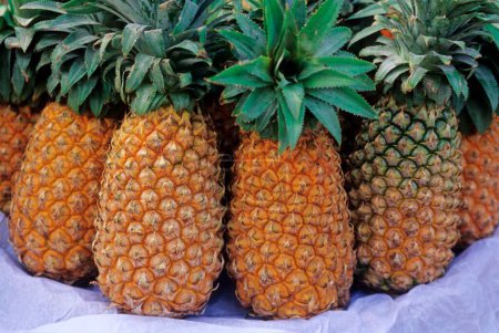 Téléchargez les photos : Fruits ; ensemble d'ananas ; Inde - en image libre de droit