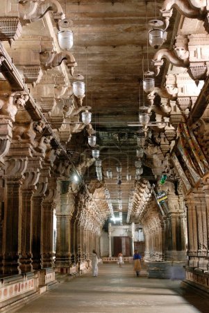 Téléchargez les photos : Colonnade dans le deuxième Prakara ; Temple Chidambaram Nataraja ; Chidambaram ; Tamil Nadu ; Inde - en image libre de droit