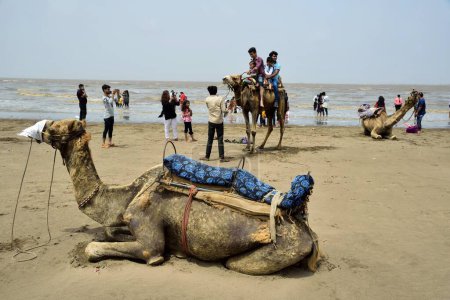 Photo for Tourists, Dumas beach, Surat, Gujarat, India, Asia - Royalty Free Image
