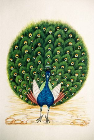 Photo for Miniature Painting on Silk peacock - Royalty Free Image