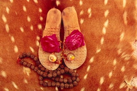 Téléchargez les photos : Concept, chaussures en bois khadau utilisé pour saint sadhu, Inde - en image libre de droit