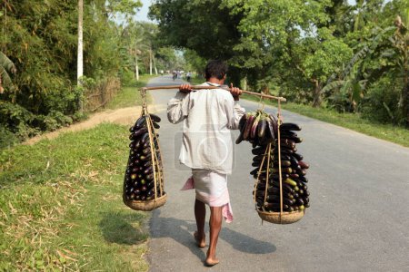 Téléchargez les photos : Homme portant brinjals solanum melongena sur l'épaule, Assam, Inde - en image libre de droit