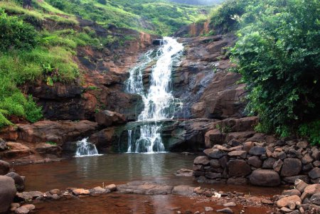 Téléchargez les photos : Cascade dans la jungle ; Maharashtra ; Inde - en image libre de droit