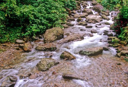 Foto de Caída de agua del Parque Ganga Maiya en Darjeeling; Bengala Occidental; India - Imagen libre de derechos