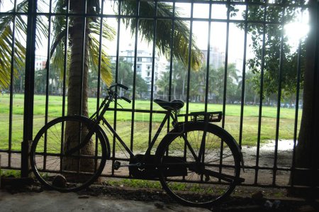 Photo for Bicycle on background of grassland in , Bombay Mumbai, Maharashtra, India - Royalty Free Image