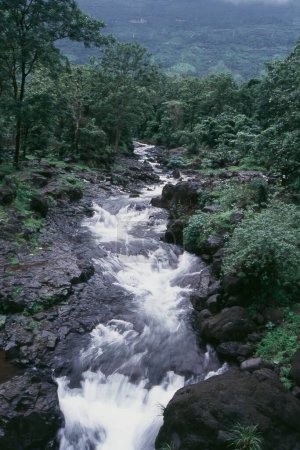 Téléchargez les photos : Eau coulant de la vallée verte, Malshej Ghat, Maharashtra, Inde - en image libre de droit