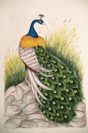 Foto de Pintura en miniatura sobre pavo real de seda - Imagen libre de derechos