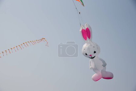 Drachen wie Kaninchen, Internationales Drachenfest, Tithal, Valsad, Gujarat, Indien, Asien