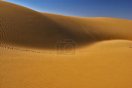 Foto de Thar desert , Sam Sand Dunes , Jaisalmer, Rajasthan , India - Imagen libre de derechos