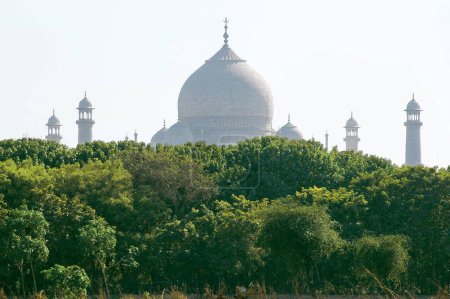 Téléchargez les photos : Taj mahal, agra, delhi, Inde, asie - en image libre de droit