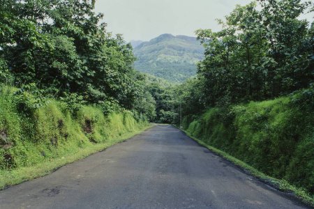 Téléchargez les photos : Route à Malshej Ghat, Maharashtra, Inde, Asie - en image libre de droit