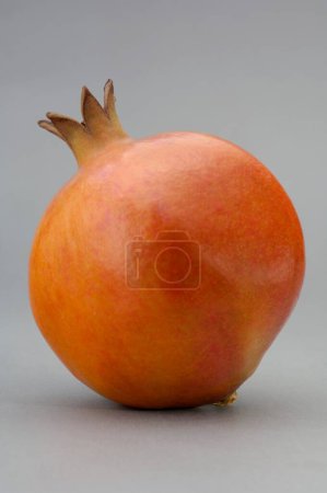 Téléchargez les photos : Fruits, un fruit alimentaire grenade sur fond gris - en image libre de droit