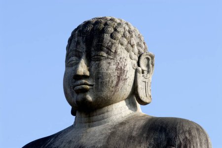 Téléchargez les photos : Vue rapprochée de l'énorme tête de Gomateshawara ; 42 pieds de haut ; 80 tonnes statue de poids érigée en 1432 ; une statue monolithique du Seigneur Bahubali est situé sur Gommata Betta à Karkala ; District Udupi ; Karnataka ; Inde - en image libre de droit