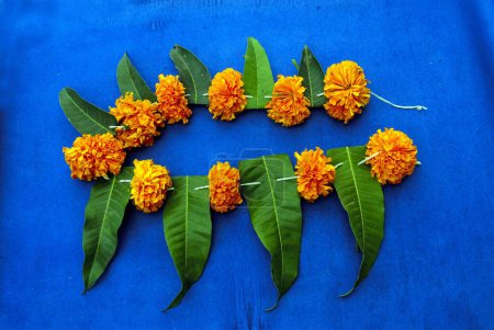 Foto de Un festón hecho de flores de caléndula y hojas de mango cuelgan de la puerta de entrada en festivales como Diwali; Dashera; Gudi Padva en Pune; Maharashtra; India - Imagen libre de derechos