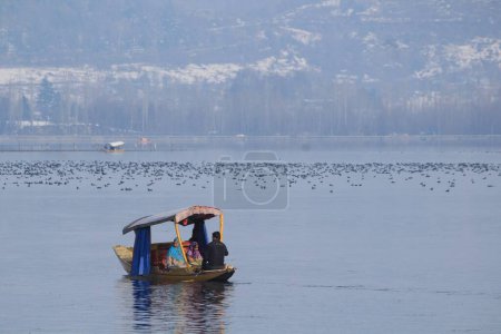 Téléchargez les photos : Touristes à shikara, dal lake, Srinagar, Cachemire, Inde, Asie - en image libre de droit