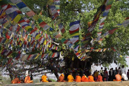 Foto de Monjes sentados bajo el árbol de Banyan, lumbini, nepal, asia - Imagen libre de derechos
