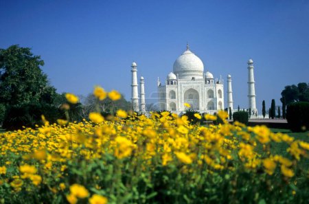 Taj mahal Seventh Wonder of The World ; Agra ; Uttar Pradesh ; India