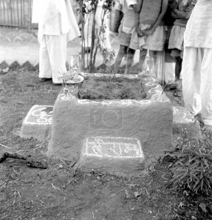 Photo for A newly planted Tulsi tree at Sevagram Ashram, Vardha, Maharashtra, India, 1944 - Royalty Free Image