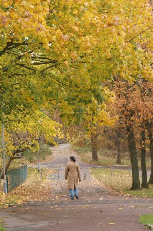 Photo for Old lady walking wearing overcoat autumn foliage on trees - Royalty Free Image