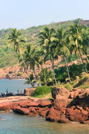 Foto de Coconut palms hill and rocks at anjuna beach, Goa, India - Imagen libre de derechos