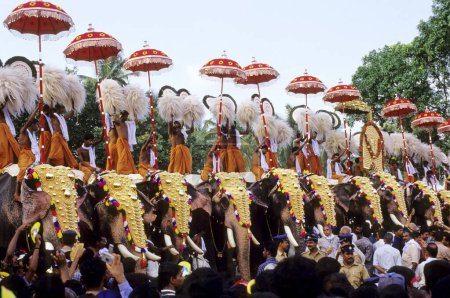 Téléchargez les photos : Trichurpooram pooram, Elephant March Festival, Kerala, Inde - en image libre de droit