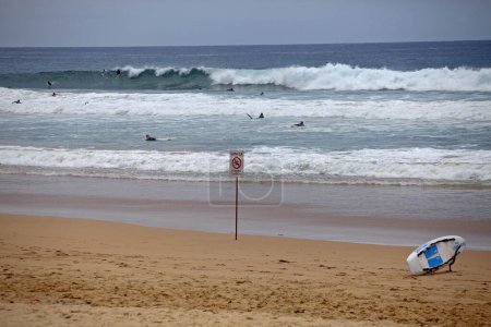 Téléchargez les photos : Marina plage sydney australie - en image libre de droit