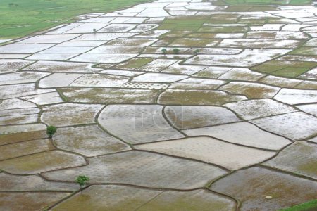 In Raigad, Maharashtra, Indien, erschütterte am 26. Juli 2005 eine Luftaufnahme von landwirtschaftlichem Land, das von Wassermassen überschwemmt wurde. 