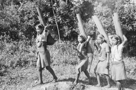 Téléchargez les photos : Des membres de la tribu Wancho ramassent de l'eau dans des tuyaux en bambou, district de Tirap, Arunachal Pradesh, Inde 1982 - en image libre de droit