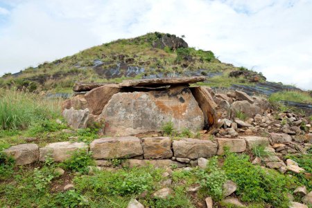 Megalithic dolmens, or muniyaras, at kovilkadavu, maraiyur, maraiyoor, Kerala, India