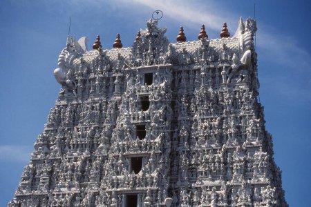 Templo Thanumalayan, Suchindram cerca de Kanyakumari, Tamil Nadu, India, Asia