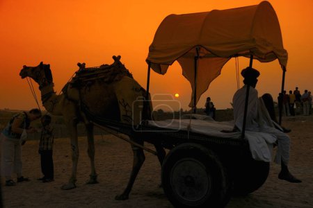 Photo for Camel cart standing at sunset for Pushkar fair ; Rajasthan ; India - Royalty Free Image