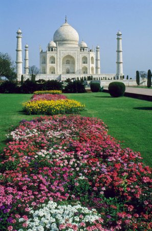 Photo for Taj mahal Seventh Wonder of The World ; Agra ; Uttar Pradesh ; India - Royalty Free Image