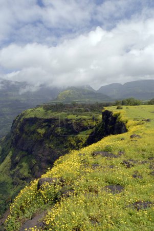 Téléchargez les photos : Montagnes et vallées du ghat de Malshej ; Maharashtra ; Inde - en image libre de droit