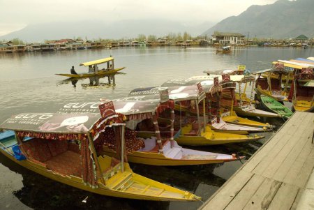 Téléchargez les photos : Shikaras colorés au lac Dal Jammu-et-Cachemire Inde Asie - en image libre de droit