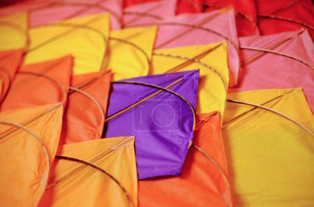 makara sankrant ; kite festival ; india