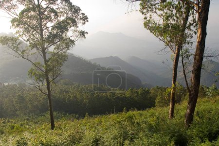 Téléchargez les photos : Paysage des collines Palani à 2133 mètres d'altitude ; Kodaikanal populairement connu sous le nom de Kodai ; Tamil Nadu ; Inde - en image libre de droit