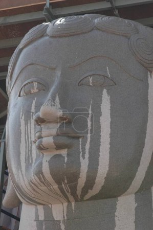 Téléchargez les photos : Verser de l'eau sur la tête de 58,8 pieds statue monolithique de saint jain Gomateshwara seigneur Bahubali dans la cérémonie d'onction de la tête de mahamastakabhisheka ; Sravanabelagola ; Karnataka ; Inde - en image libre de droit