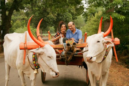 Photo for South Asian Indian middle-aged couple enjoying bullock cart ride ; Wai ; Maharashtra ; India MR189;686F - Royalty Free Image