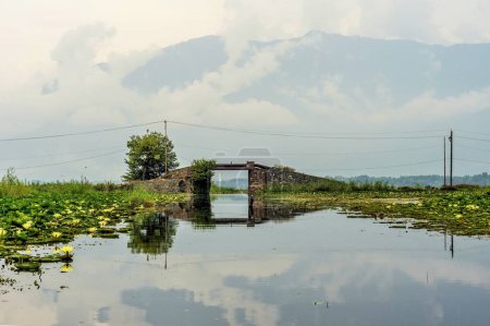 Téléchargez les photos : Pont sur le lac Dal, Srinagar, Cachemire, Inde, Asie - en image libre de droit