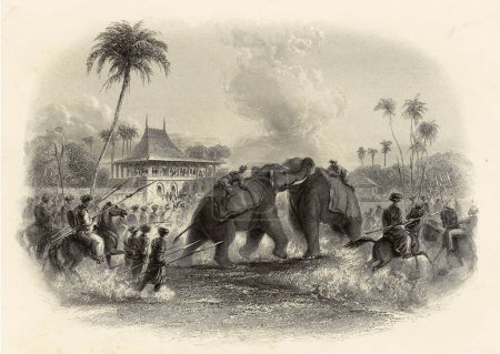 Foto de Pintura en miniatura, una pelea de elefantes Las peleas de elefantes a menudo se organizaban frente al Maharajah y su corte para su diversión en el siglo XIX, India. - Imagen libre de derechos