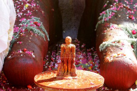 Téléchargez les photos : Fleurs aux pieds de 18 mètres de haut statue de Bhagwan Gomateshwara Bahubali lors du festival Mahamasthakabhisheka Jain qui se tient une fois tous les douze ans ; Shravanabelagola ; district de Hassan ; État du Karnataka ; Inde - en image libre de droit